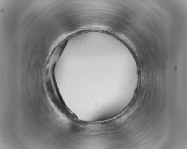 X0000087740989200706041032