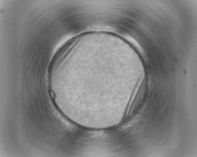 X0000087740990200706041032