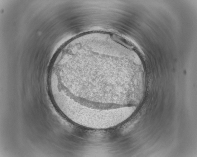 X0000087740991200706041032