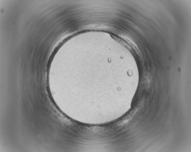 X0000087740992200706041032