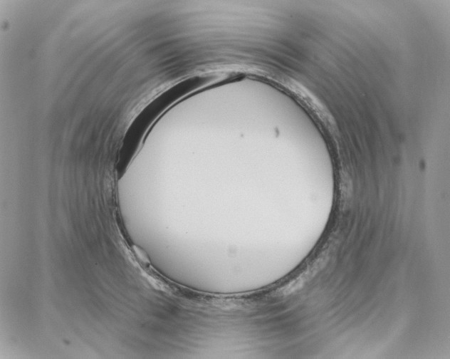 X0000087740993200706041032