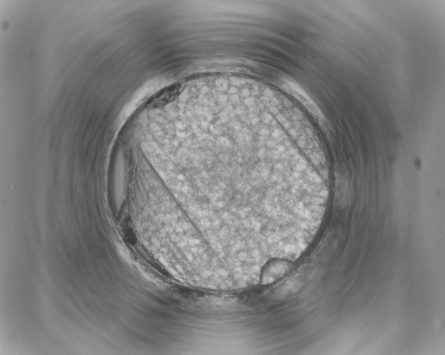 X0000087740994200706041032