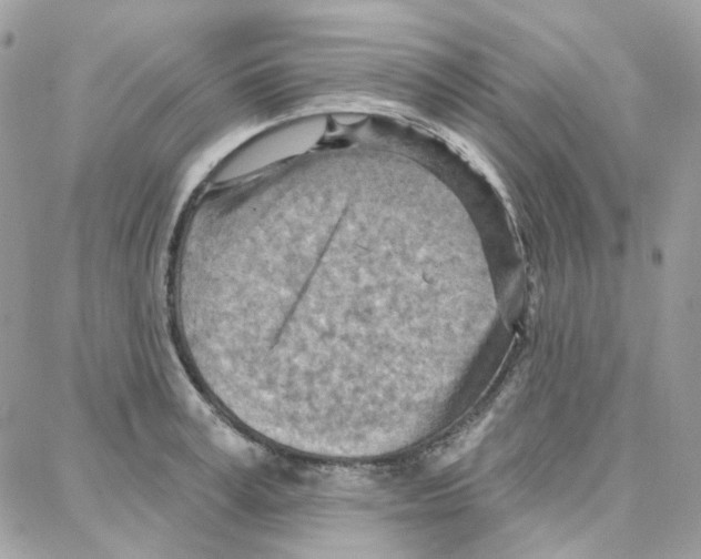 X0000087740995200706041032