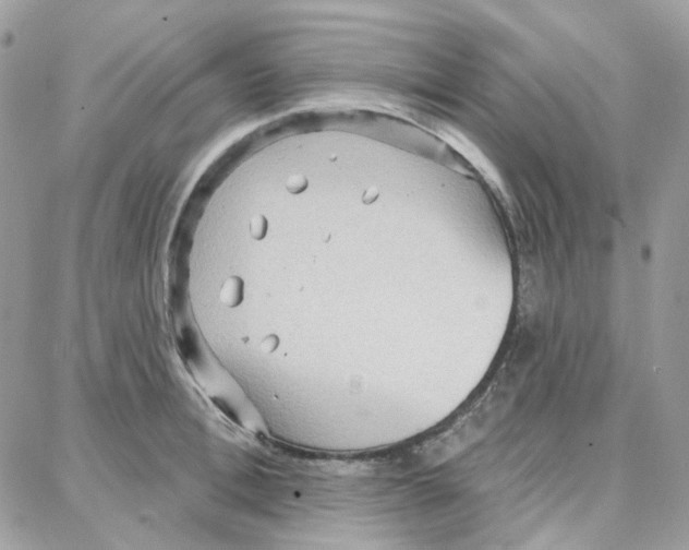 X0000087740996200706041032