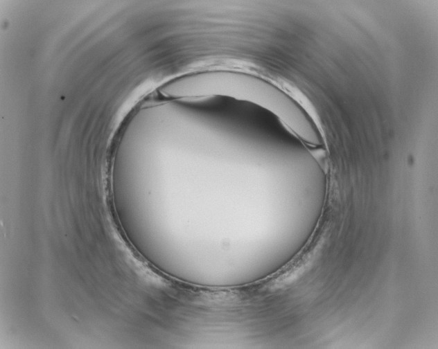 X0000087740997200706041032