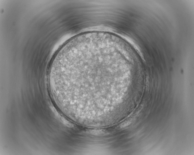 X0000087740998200706041032