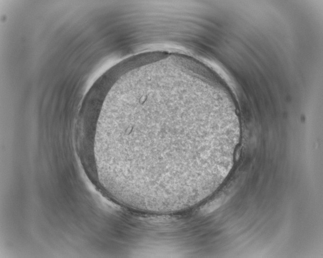 X0000087740999200706041032