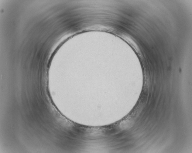 X0000087741000200706041032