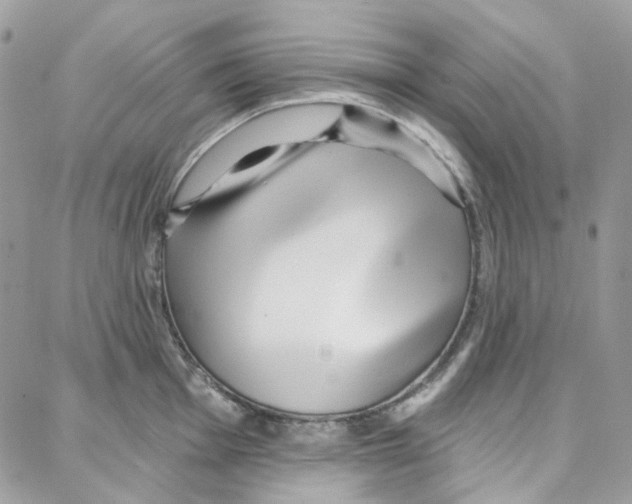 X0000087741001200706041032