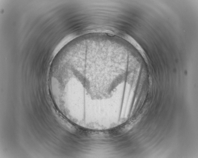 X0000087741002200706041032