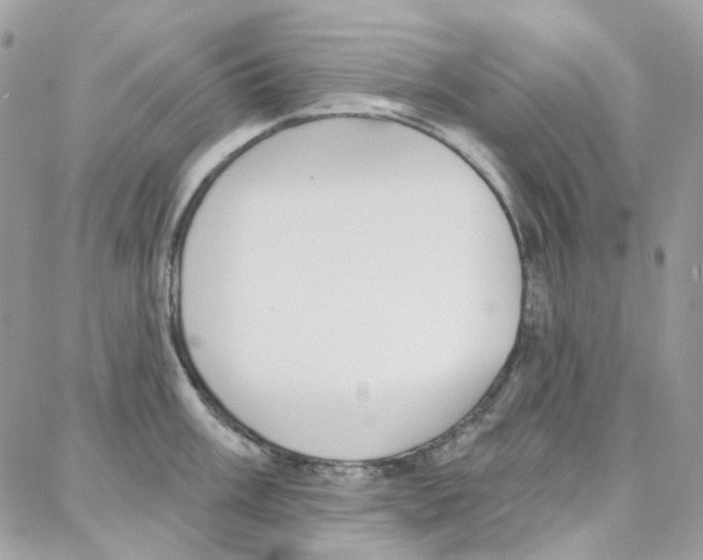 X0000087741003200706041032