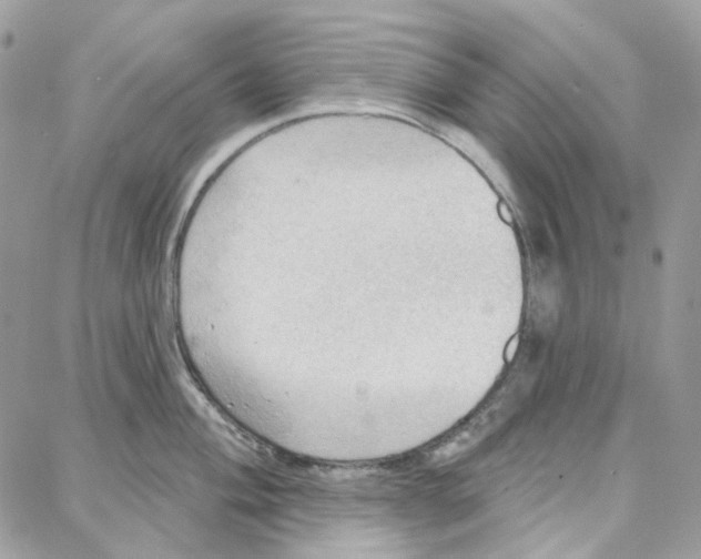 X0000087741004200706041032