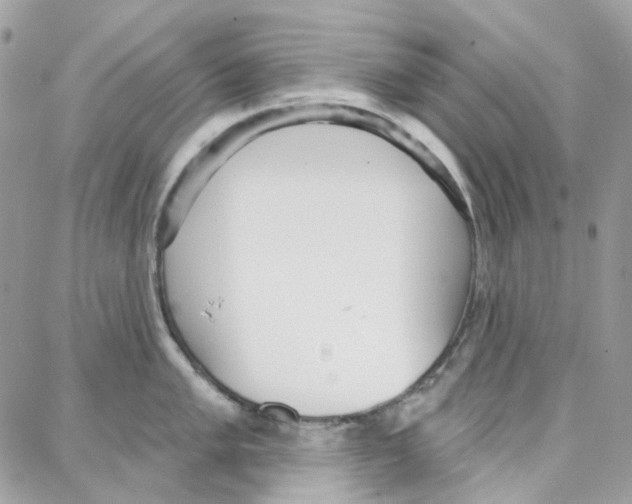 X0000087741005200706041032