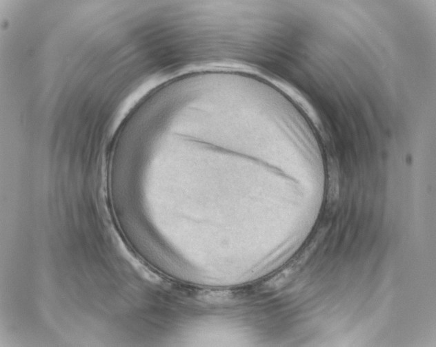 X0000087741006200706041032