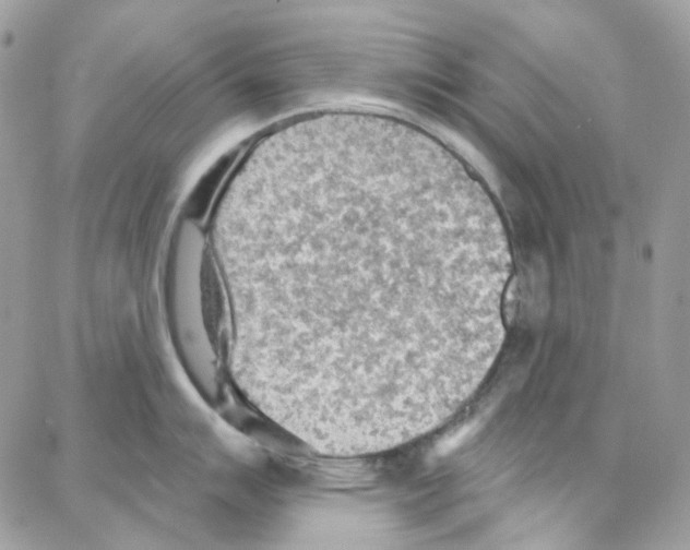 X0000087741007200706041032