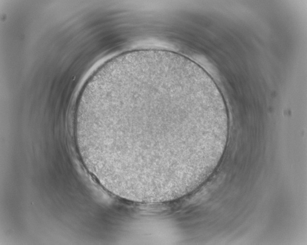 X0000087741008200706041032