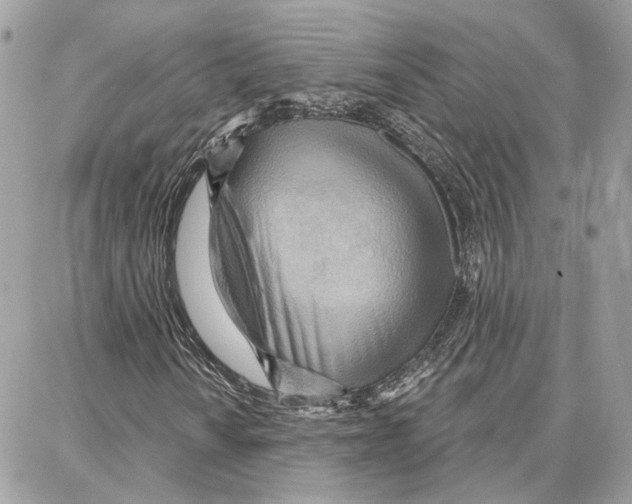 X0000087741010200706041031