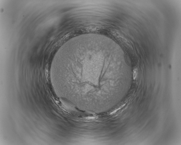 X0000087741011200706041031