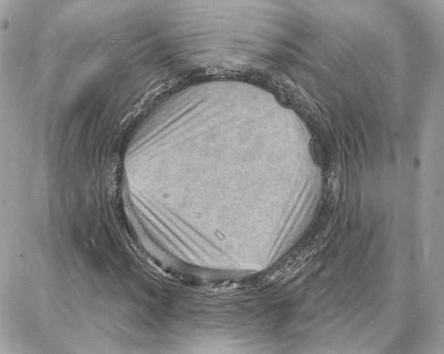 X0000087741012200706041031