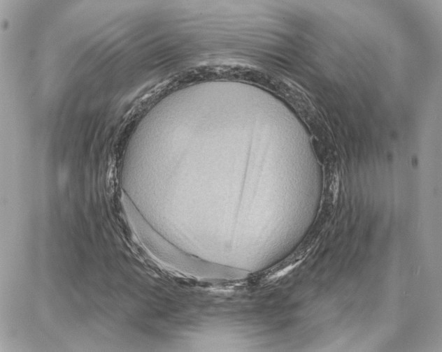 X0000087741014200706041031