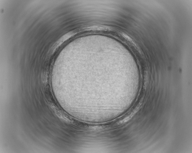 X0000087741017200706041031