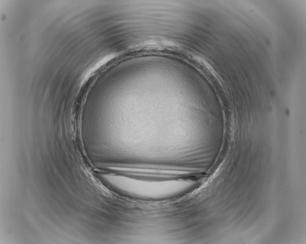 X0000087741018200706041031