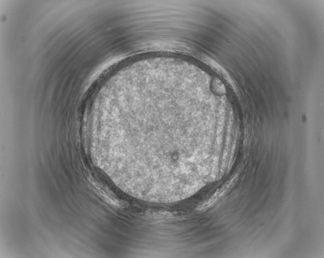 X0000087741019200706041031