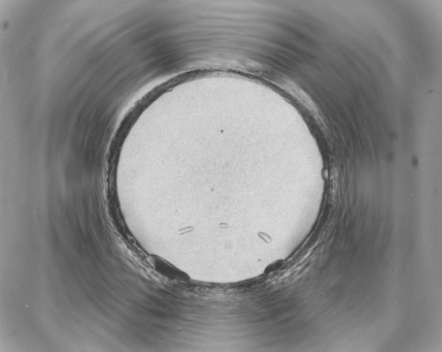 X0000087741020200706041031