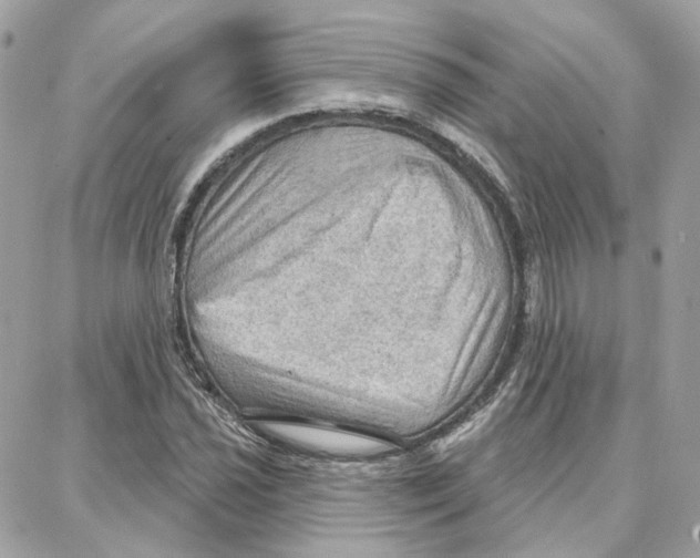 X0000087741021200706041031