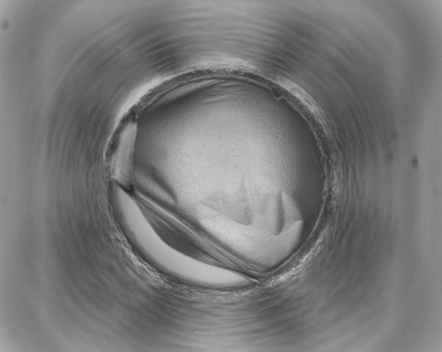 X0000087741022200706041031