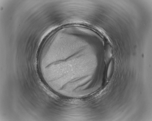 X0000087741024200706041031