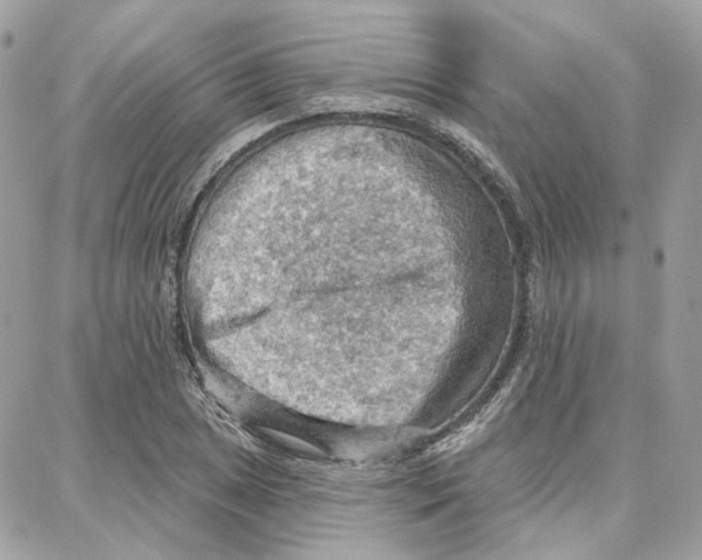 X0000087741025200706041031