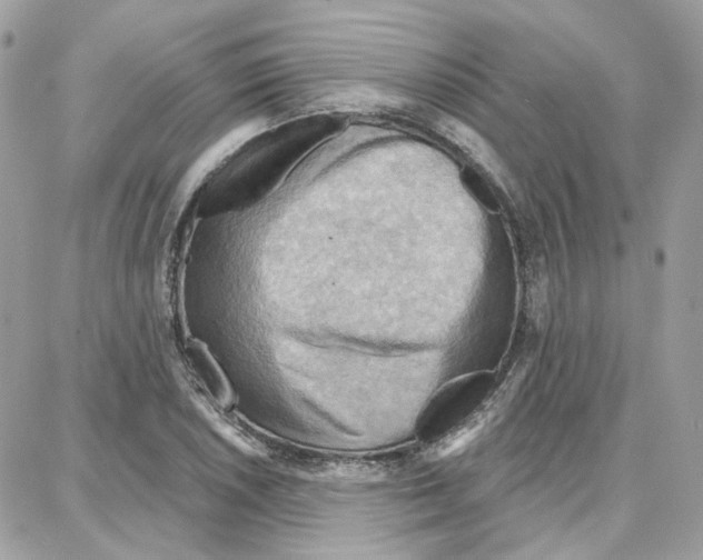 X0000087741026200706041031