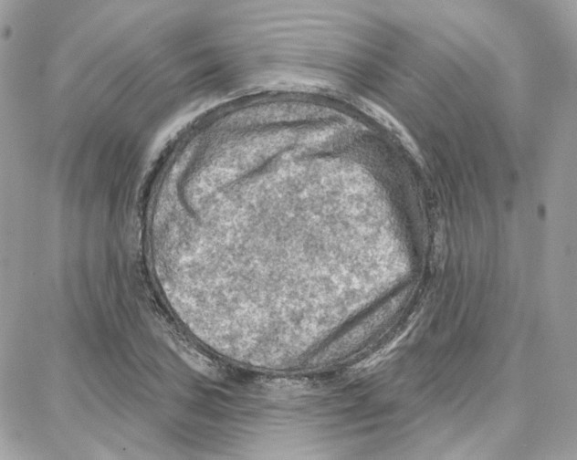 X0000087741027200706041031