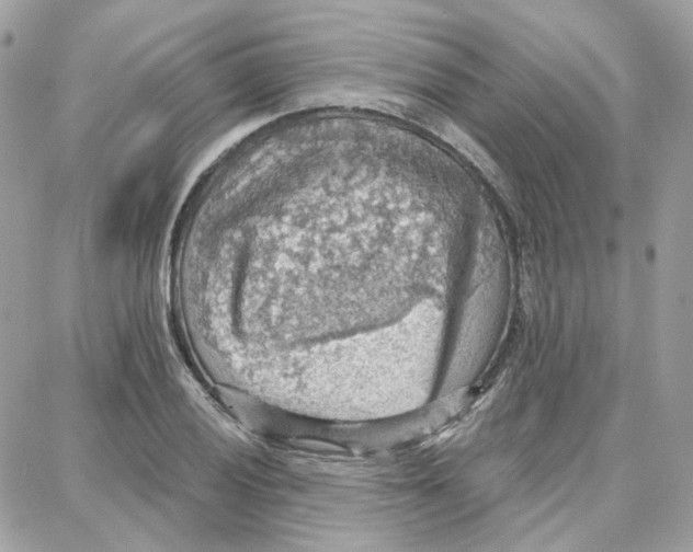 X0000087741028200706041031