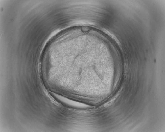 X0000087741029200706041031