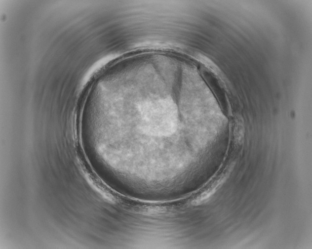 X0000087741030200706041031