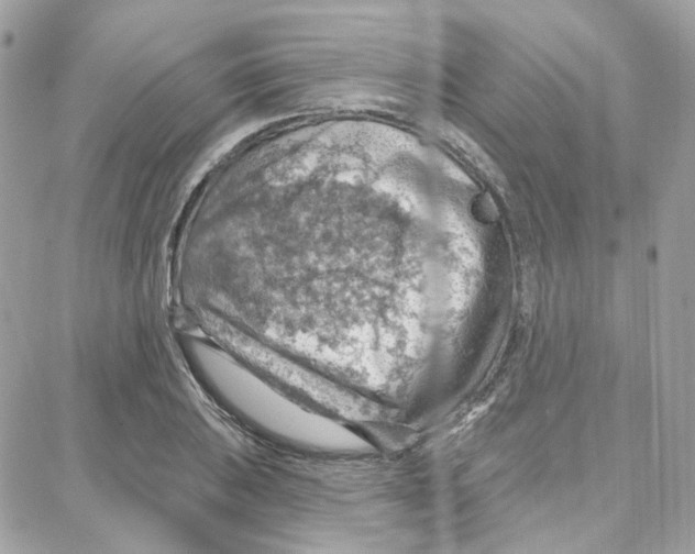 X0000087741031200706041031