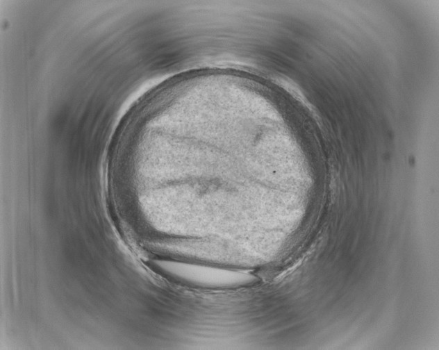 X0000087741032200706041031