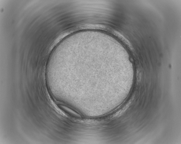 X0000087741033200706041031