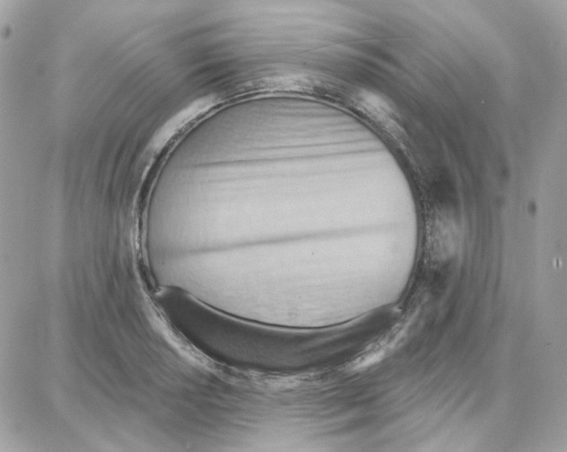 X0000087741034200706041031