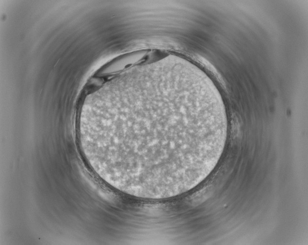 X0000087741035200706041032