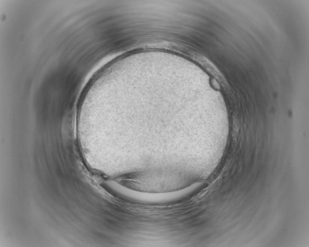 X0000087741036200706041032