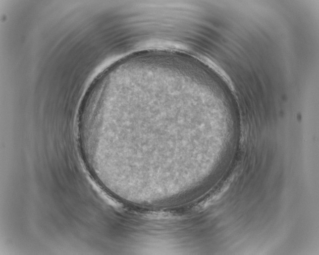 X0000087741037200706041032