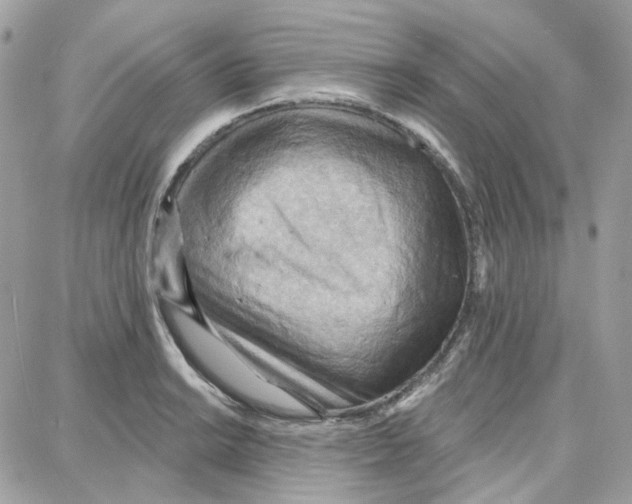 X0000087741038200706041032