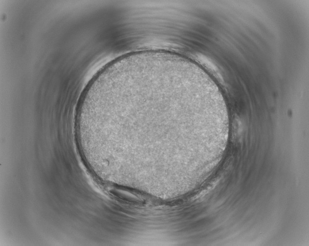 X0000087741039200706041032