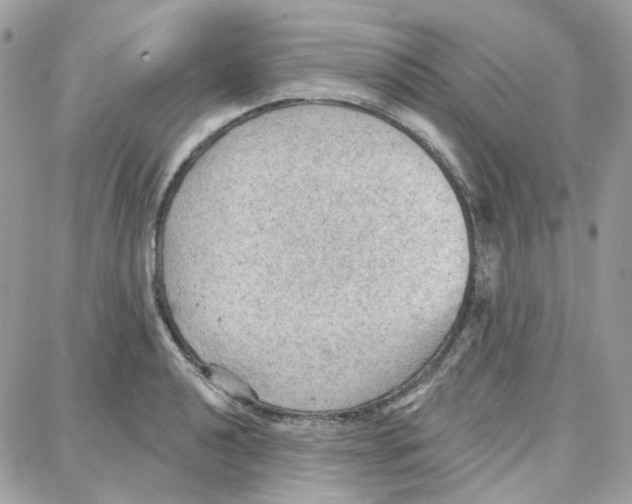 X0000087741040200706041032