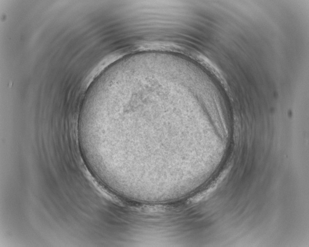 X0000087741041200706041032