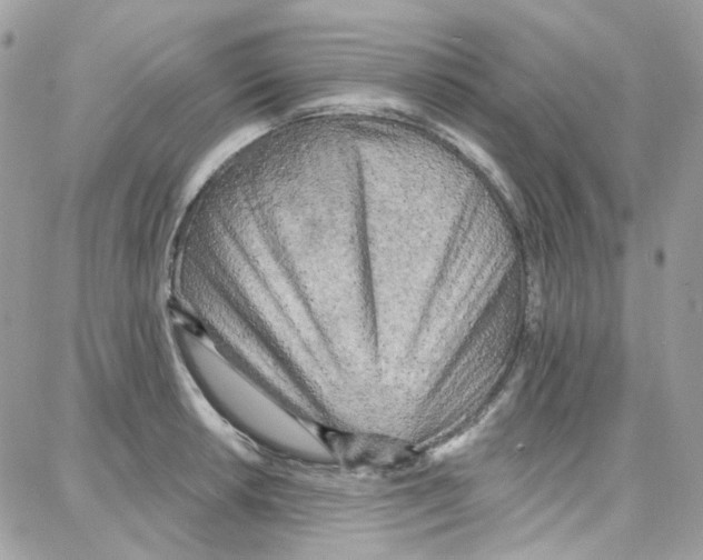 X0000087741042200706041032