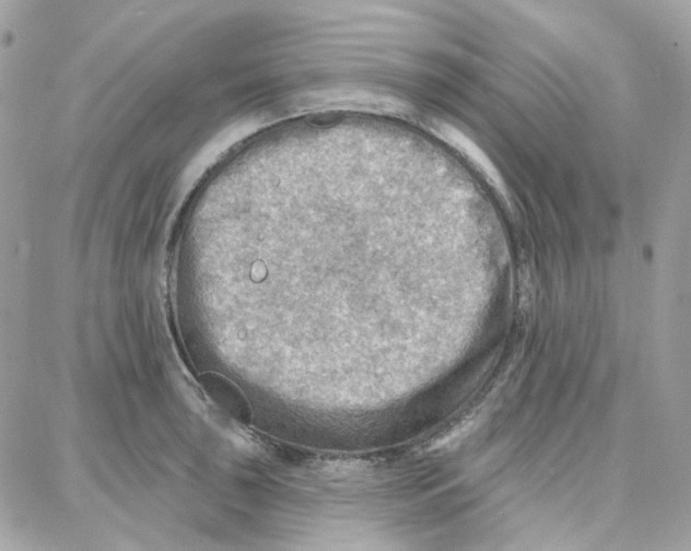 X0000087741043200706041032